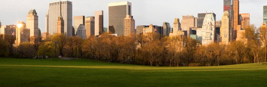 Sheep Meadow at Sunset Sheep Meadow at Sunset